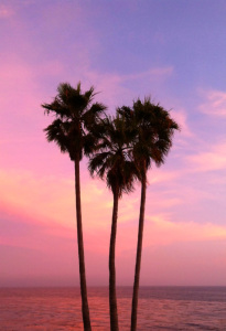 Where My Heart Is