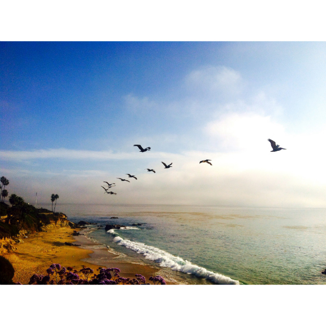 Laguna Beach, California