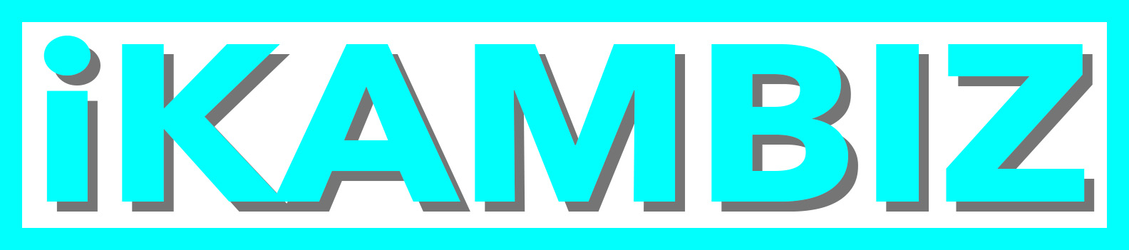 iKAMBIZ